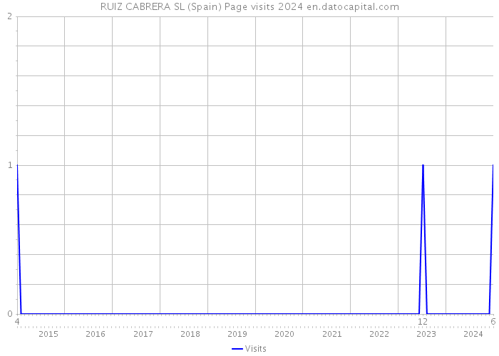 RUIZ CABRERA SL (Spain) Page visits 2024 