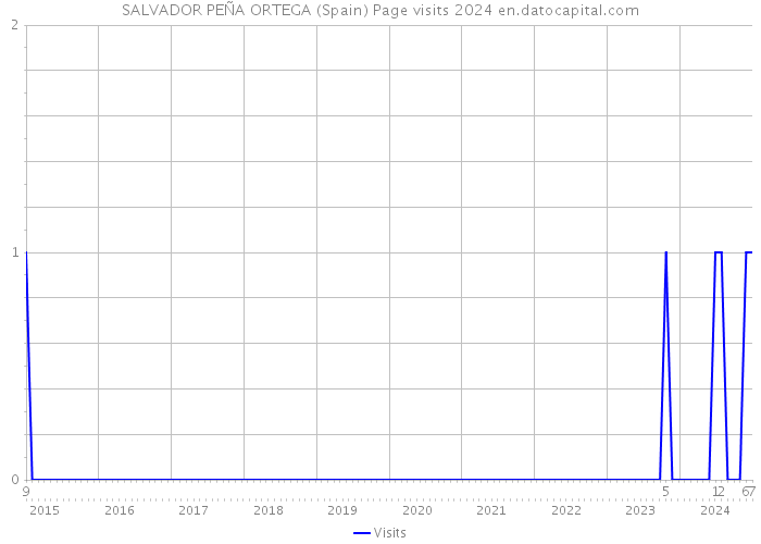 SALVADOR PEÑA ORTEGA (Spain) Page visits 2024 