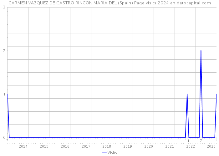 CARMEN VAZQUEZ DE CASTRO RINCON MARIA DEL (Spain) Page visits 2024 