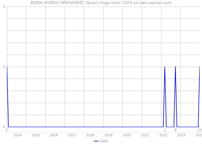 BORJA MORRO HERNANDEZ (Spain) Page visits 2024 