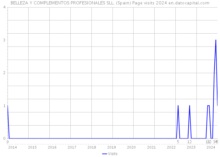 BELLEZA Y COMPLEMENTOS PROFESIONALES SLL. (Spain) Page visits 2024 