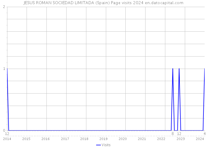 JESUS ROMAN SOCIEDAD LIMITADA (Spain) Page visits 2024 