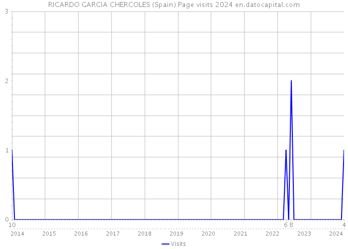 RICARDO GARCIA CHERCOLES (Spain) Page visits 2024 