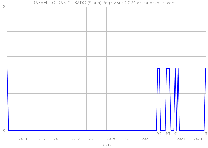 RAFAEL ROLDAN GUISADO (Spain) Page visits 2024 