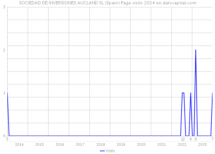 SOCIEDAD DE INVERSIONES AUCLAND SL (Spain) Page visits 2024 