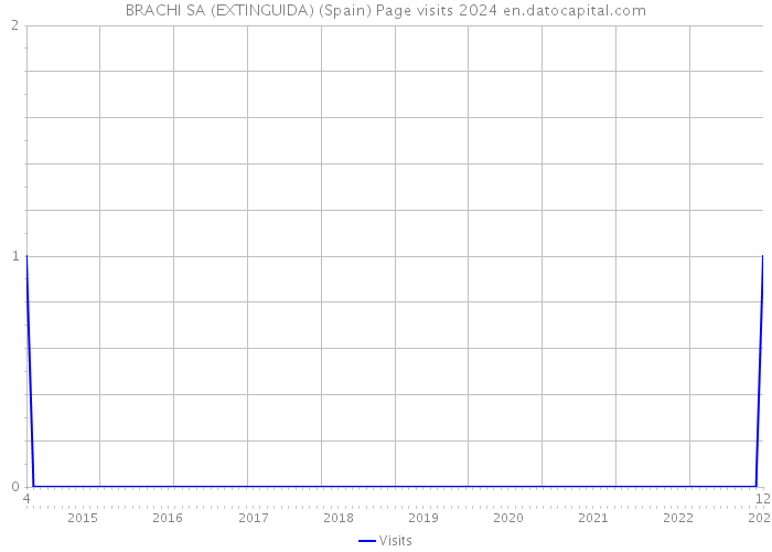 BRACHI SA (EXTINGUIDA) (Spain) Page visits 2024 