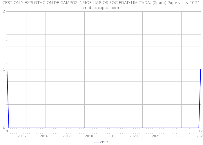 GESTION Y EXPLOTACION DE CAMPOS INMOBILIARIOS SOCIEDAD LIMITADA. (Spain) Page visits 2024 