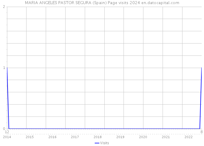MARIA ANGELES PASTOR SEGURA (Spain) Page visits 2024 