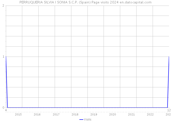 PERRUQUERIA SILVIA I SONIA S.C.P. (Spain) Page visits 2024 