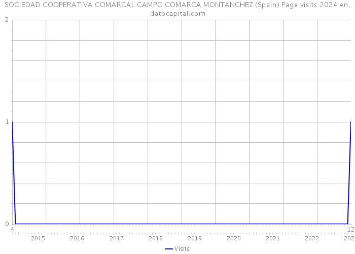 SOCIEDAD COOPERATIVA COMARCAL CAMPO COMARCA MONTANCHEZ (Spain) Page visits 2024 