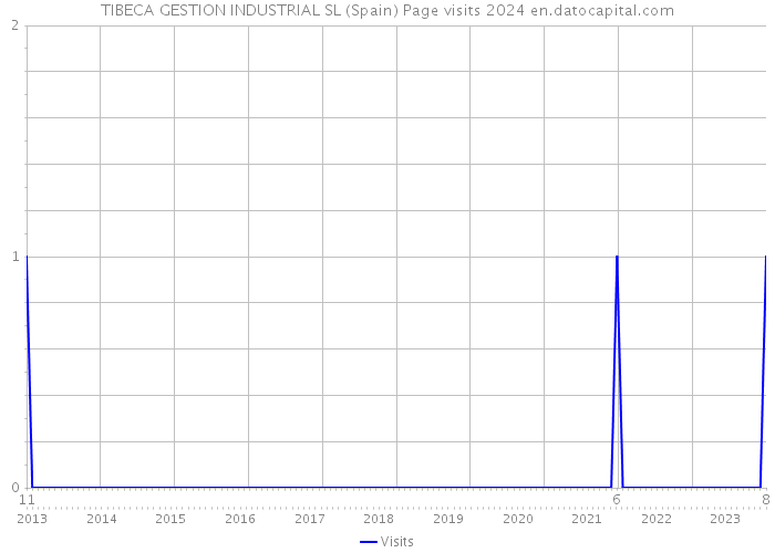 TIBECA GESTION INDUSTRIAL SL (Spain) Page visits 2024 