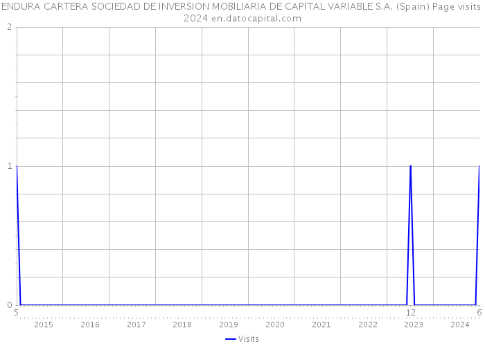ENDURA CARTERA SOCIEDAD DE INVERSION MOBILIARIA DE CAPITAL VARIABLE S.A. (Spain) Page visits 2024 