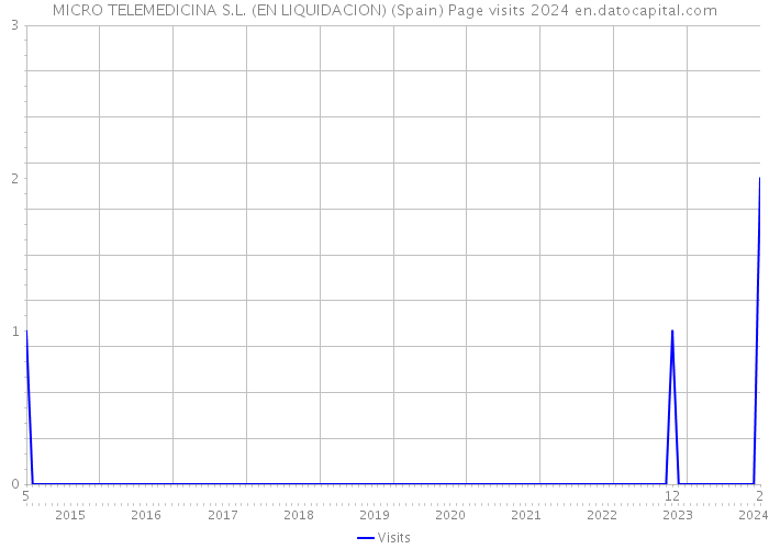 MICRO TELEMEDICINA S.L. (EN LIQUIDACION) (Spain) Page visits 2024 