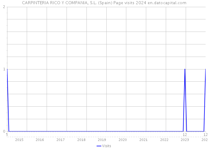CARPINTERIA RICO Y COMPANIA, S.L. (Spain) Page visits 2024 
