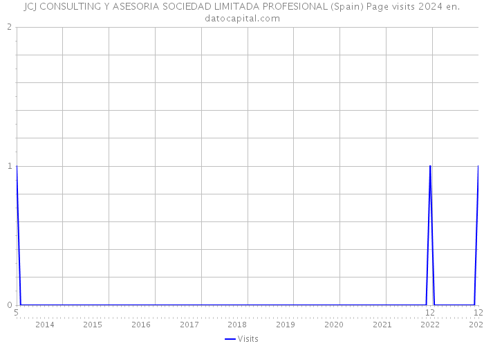 JCJ CONSULTING Y ASESORIA SOCIEDAD LIMITADA PROFESIONAL (Spain) Page visits 2024 