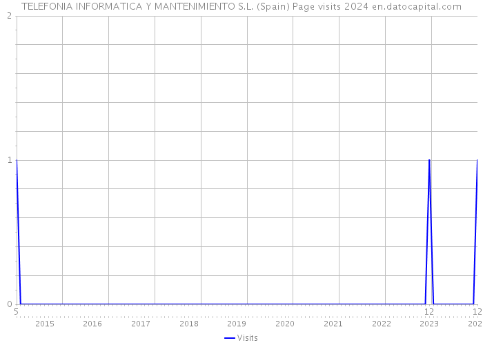TELEFONIA INFORMATICA Y MANTENIMIENTO S.L. (Spain) Page visits 2024 