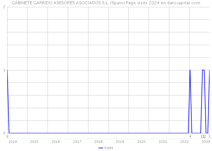 GABINETE GARRIDO ASESORES ASOCIADOS S.L. (Spain) Page visits 2024 