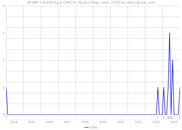 JAVIER CAUDEVILLA GARCIA (Spain) Page visits 2024 