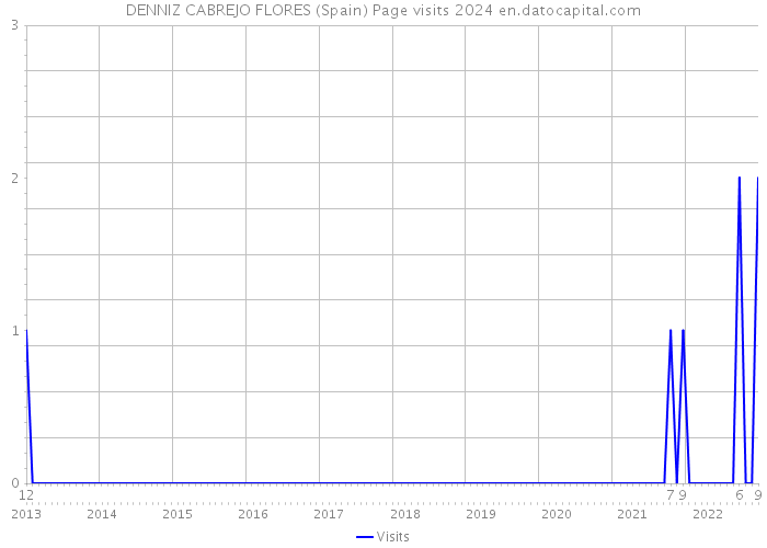 DENNIZ CABREJO FLORES (Spain) Page visits 2024 