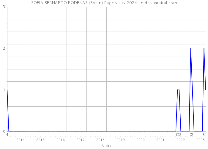SOFIA BERNARDO RODENAS (Spain) Page visits 2024 