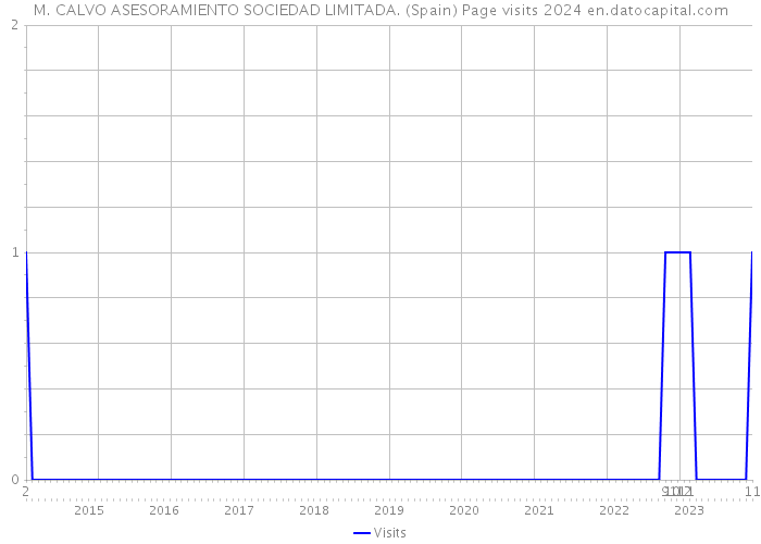 M. CALVO ASESORAMIENTO SOCIEDAD LIMITADA. (Spain) Page visits 2024 