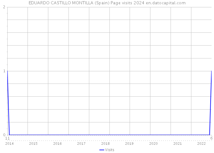 EDUARDO CASTILLO MONTILLA (Spain) Page visits 2024 