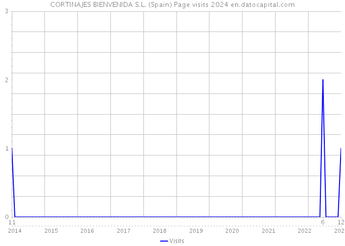 CORTINAJES BIENVENIDA S.L. (Spain) Page visits 2024 