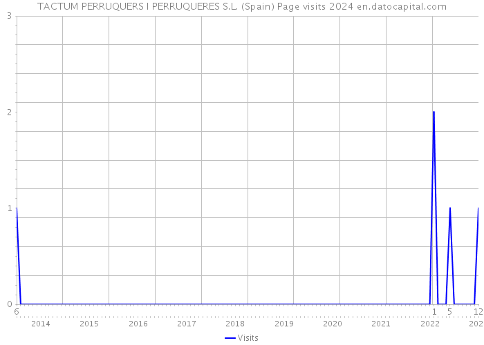 TACTUM PERRUQUERS I PERRUQUERES S.L. (Spain) Page visits 2024 