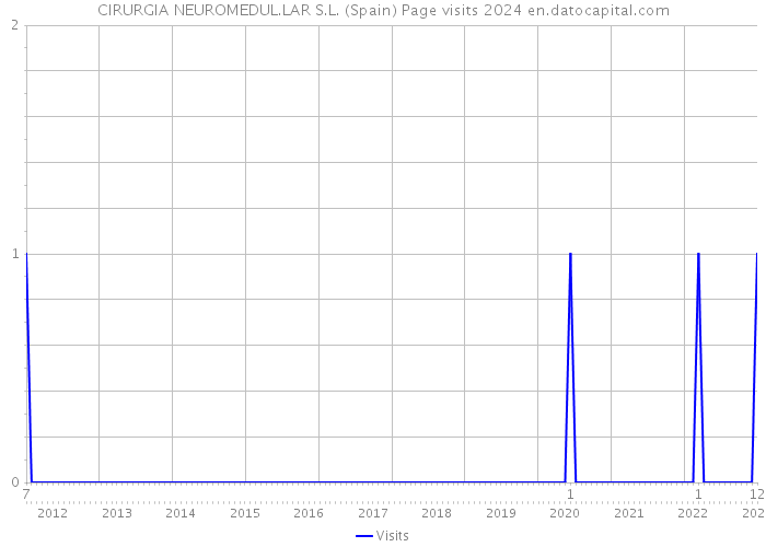CIRURGIA NEUROMEDUL.LAR S.L. (Spain) Page visits 2024 