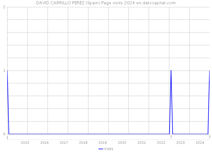 DAVID CARRILLO PEREZ (Spain) Page visits 2024 