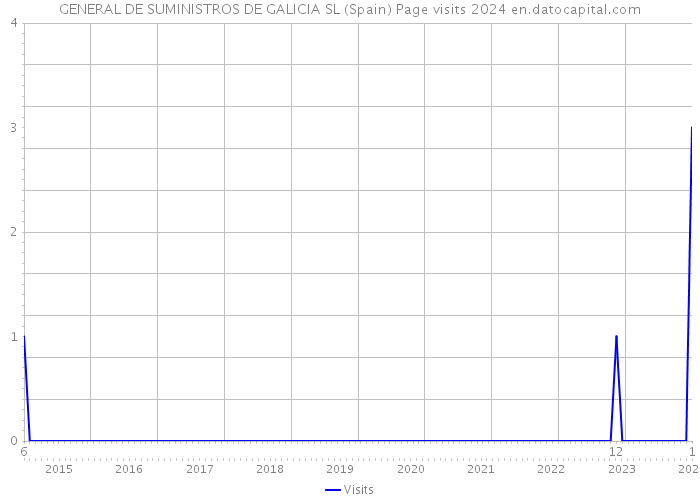 GENERAL DE SUMINISTROS DE GALICIA SL (Spain) Page visits 2024 