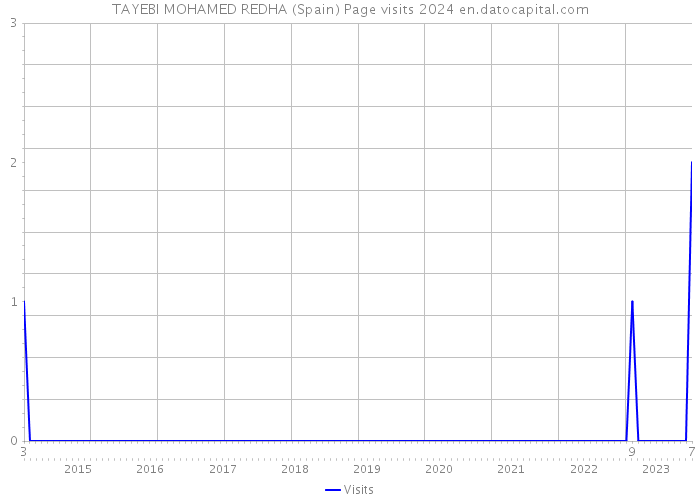 TAYEBI MOHAMED REDHA (Spain) Page visits 2024 