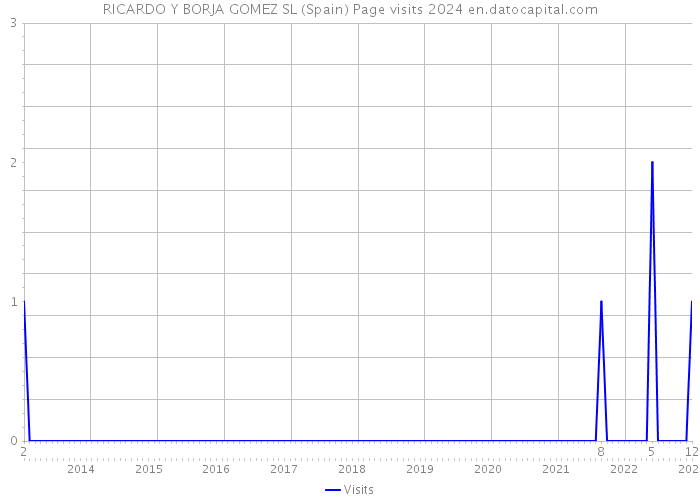 RICARDO Y BORJA GOMEZ SL (Spain) Page visits 2024 