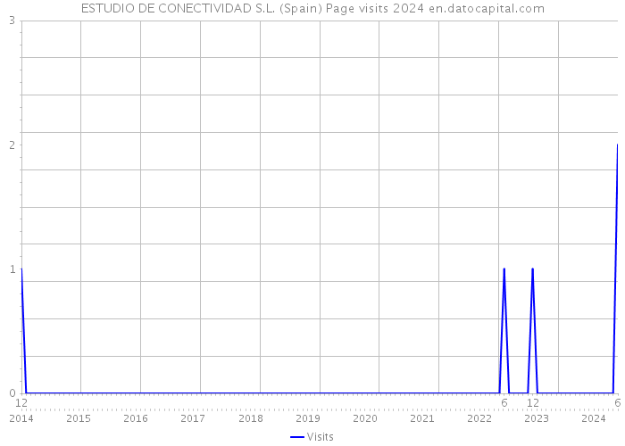 ESTUDIO DE CONECTIVIDAD S.L. (Spain) Page visits 2024 