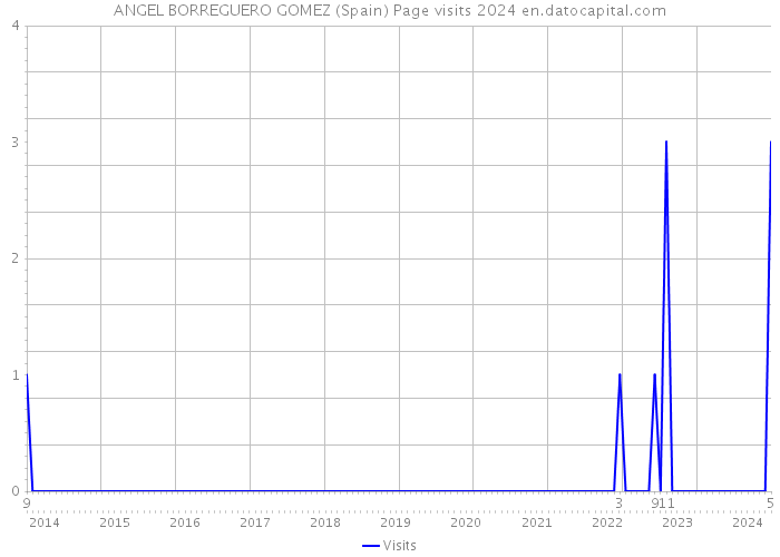 ANGEL BORREGUERO GOMEZ (Spain) Page visits 2024 