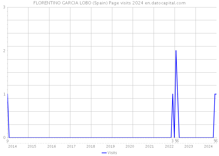 FLORENTINO GARCIA LOBO (Spain) Page visits 2024 
