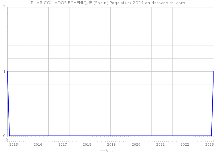 PILAR COLLADOS ECHENIQUE (Spain) Page visits 2024 