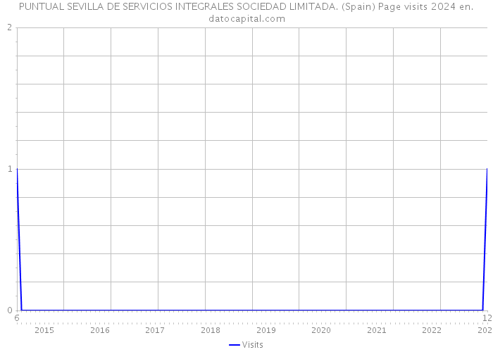 PUNTUAL SEVILLA DE SERVICIOS INTEGRALES SOCIEDAD LIMITADA. (Spain) Page visits 2024 