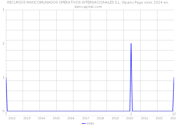RECURSOS MANCOMUNADOS OPERATIVOS INTERNACIONALES S.L. (Spain) Page visits 2024 