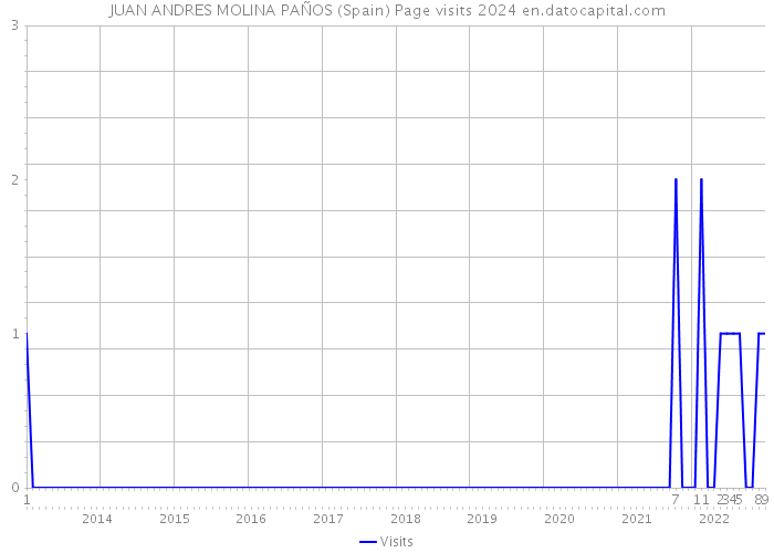 JUAN ANDRES MOLINA PAÑOS (Spain) Page visits 2024 