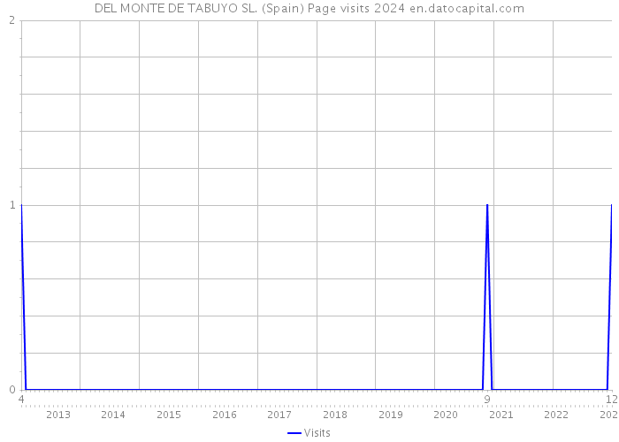 DEL MONTE DE TABUYO SL. (Spain) Page visits 2024 