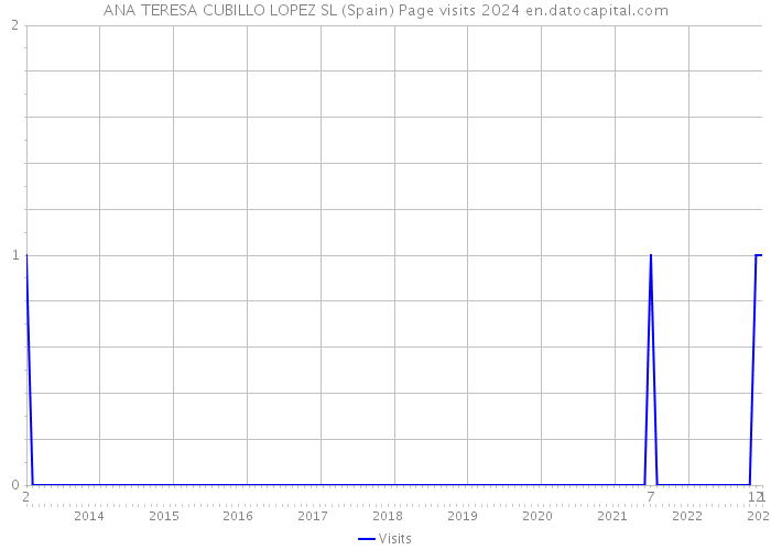 ANA TERESA CUBILLO LOPEZ SL (Spain) Page visits 2024 