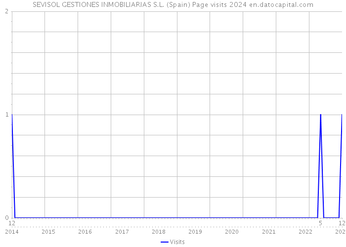 SEVISOL GESTIONES INMOBILIARIAS S.L. (Spain) Page visits 2024 