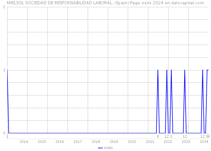 MIELSOL SOCIEDAD DE RESPONSABILIDAD LABORAL. (Spain) Page visits 2024 