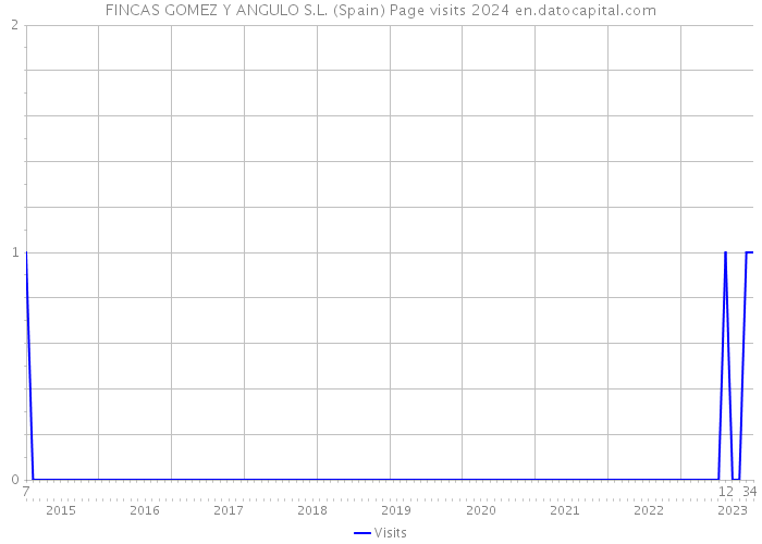 FINCAS GOMEZ Y ANGULO S.L. (Spain) Page visits 2024 