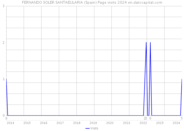 FERNANDO SOLER SANTAEULARIA (Spain) Page visits 2024 