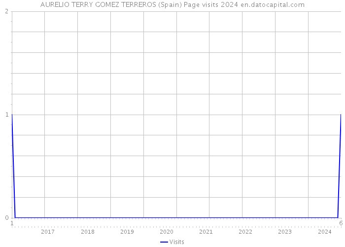 AURELIO TERRY GOMEZ TERREROS (Spain) Page visits 2024 