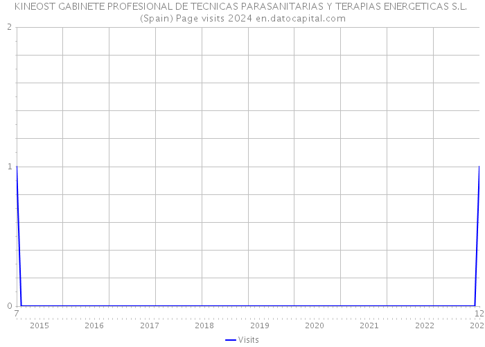 KINEOST GABINETE PROFESIONAL DE TECNICAS PARASANITARIAS Y TERAPIAS ENERGETICAS S.L. (Spain) Page visits 2024 