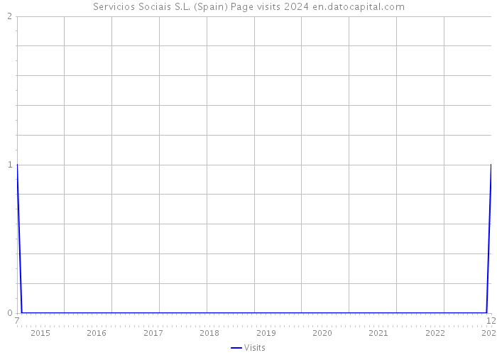 Servicios Sociais S.L. (Spain) Page visits 2024 