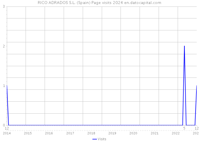 RICO ADRADOS S.L. (Spain) Page visits 2024 